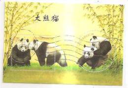 60480) 2003 - Austria Foglietto Usato Raffiguranti I Panda - Used Stamps