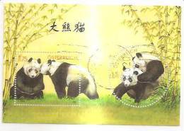 60482) 2003 - Austria Foglietto Usato Raffiguranti I Panda - Usati