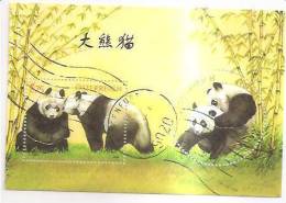 60484) 2003 - Austria Foglietto Usato Raffiguranti I Panda - Oblitérés