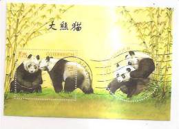 60485) 2003 - Austria Foglietto Usato Raffiguranti I Panda - Used Stamps
