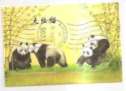 60488) 2003 - Austria Foglietto Usato Raffiguranti I Panda - Usati