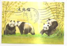 60489) 2003 - Austria Foglietto Usato Raffiguranti I Panda - Gebraucht