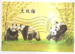 60490) 2003 - Austria Foglietto Usato Raffiguranti I Panda - Usati