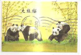60491) 2003 - Austria Foglietto Usato Raffiguranti I Panda - Gebraucht