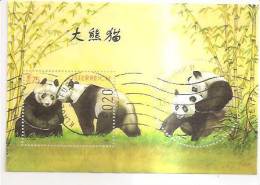 60492) 2003 - Austria Foglietto Usato Raffiguranti I Panda - Used Stamps