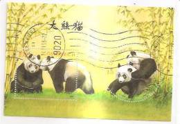60498) 2003 - Austria Foglietto Usato Raffiguranti I Panda - Oblitérés