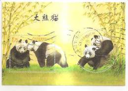 60499) 2003 - Austria Foglietto Usato Raffiguranti I Panda - Used Stamps