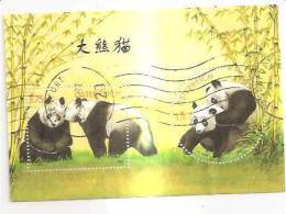 60500) 2003 - Austria Foglietto Usato Raffiguranti I Panda - Oblitérés