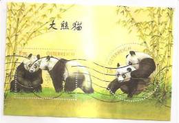 60503) 2003 - Austria Foglietto Usato Raffiguranti I Panda - Oblitérés