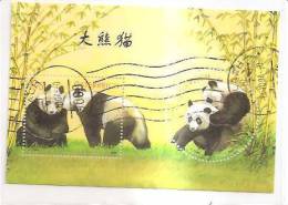 60504) 2003 - Austria Foglietto Usato Raffiguranti I Panda - Used Stamps