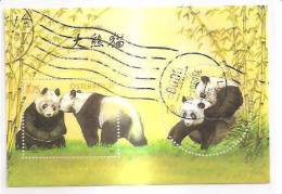 60505) 2003 - Austria Foglietto Usato Raffiguranti I Panda - Oblitérés