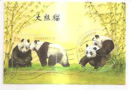 60507) 2003 - Austria Foglietto Usato Raffiguranti I Panda - Used Stamps