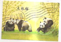 60508) 2003 - Austria Foglietto Usato Raffiguranti I Panda - Used Stamps