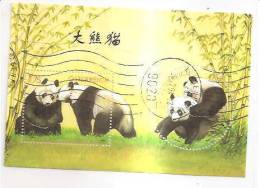 60509) 2003 - Austria Foglietto Usato Raffiguranti I Panda - Oblitérés