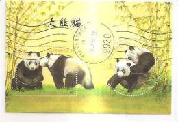60510) 2003 - Austria Foglietto Usato Raffiguranti I Panda - Oblitérés