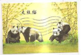 60511) 2003 - Austria Foglietto Usato Raffiguranti I Panda - Used Stamps