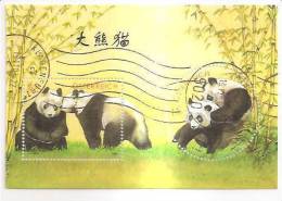 60512) 2003 - Austria Foglietto Usato Raffiguranti I Panda - Used Stamps