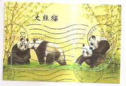 60513) 2003 - Austria Foglietto Usato Raffiguranti I Panda - Oblitérés