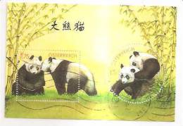 60514) 2003 - Austria Foglietto Usato Raffiguranti I Panda - Used Stamps