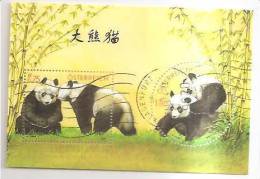 60516) 2003 - Austria Foglietto Usato Raffiguranti I Panda - Oblitérés