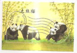 60519) 2003 - Austria Foglietto Usato Raffiguranti I Panda - Oblitérés