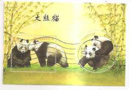 60520) 2003 - Austria Foglietto Usato Raffiguranti I Panda - Used Stamps