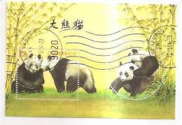 60521) 2003 - Austria Foglietto Usato Raffiguranti I Panda - Oblitérés