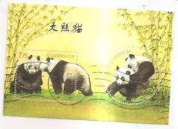 60523) 2003 - Austria Foglietto Usato Raffiguranti I Panda - Oblitérés