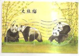 60524) 2003 - Austria Foglietto Usato Raffiguranti I Panda - Used Stamps