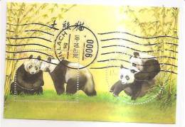 60527) 2003 - Austria Foglietto Usato Raffiguranti I Panda - Used Stamps