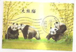 60528) 2003 - Austria Foglietto Usato Raffiguranti I Panda - Oblitérés