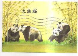 60529) 2003 - Austria Foglietto Usato Raffiguranti I Panda - Oblitérés