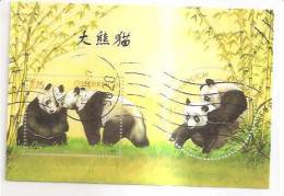 60530) 2003 - Austria Foglietto Usato Raffiguranti I Panda - Used Stamps