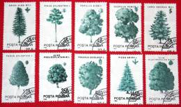 ROUMANIE ROMANIA 1994 ARBRE TREE  Used Obl - Used Stamps