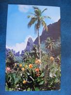 CP..PAYSAGE DE L ILE ENCHANTERESSE DE MOOREA  TAHITI......NON ECRITE - Tahiti
