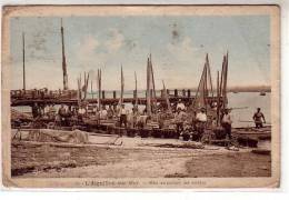 85 L'Aguillon Sur Mer - Mise En Paniers Des Moules - Animé Pêcheurs Brouette , Bateaux Le Long De La Jetée - Mareuil Sur Lay Dissais