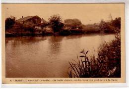 85 MAREUIL Sur LAY ( Vendée ) - Sa Belle Rivière , Rendez Vous Des Pêcheurs à La Ligne - église Au Fond -édition Nozais - Mareuil Sur Lay Dissais