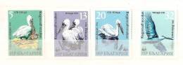 BULGARIE       Faune Pélican  2869 2872**   WWF - Pelikanen