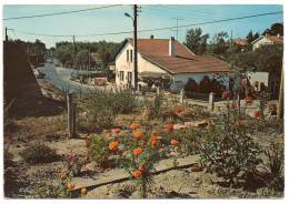 Port-Giraud, Camping "le Pavillon Des Flots", éd. Du Gabier - Pierre Ataud & Cie N° 1 (La Plaine-sur-Mer) - La-Plaine-sur-Mer