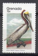Bird (Oiseau), Grenada Sc1713 Brown Pelican - Pelícanos