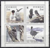 Bird (Oiseau), Sweden Sc2100a WWF, Caspian Tern, White-tailed Eagle, Woodpecker, Goose - Albatro & Uccelli Marini