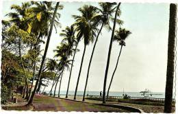 Conakry - La Corniche - Guinea