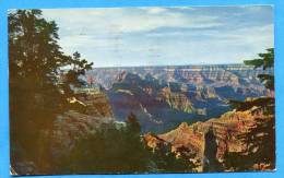 GRAND CANYON NATIONAL PARK. PC Franked In 1960. USA. Stamps - Grand Canyon