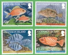 ASCENSION 2010 // Faune Marine, Poissons (Reef Fish I)  // 4v + BF NEUFS - MNH - Ascension