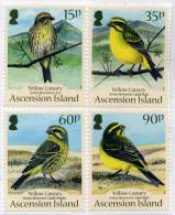 ASCENSION 2010 // Faune, Oiseaux - Canaries Jaune  // 4v NEUFS - MNH - Ascension