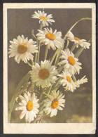 USSR  RUSSIA  TELEGRAM   DAISY  1962 - Storia Postale