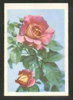 USSR  RUSSIA  ESTONIA  TELEGRAM  ROSES   1968 - Briefe U. Dokumente