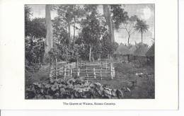 Cp Afrique : Env De SHERBRO ? The Graves At Waima Konno Country  ( Forêt Case Habitation Jardin ) - Guinee