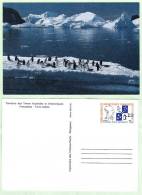 Antarctique - TAAF 1991 - Hommage à L'Amiral Max Douguet - Entier Postal N° 1-CP - 20% De La Cote - Postwaardestukken