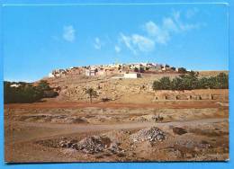 GHARDAIA. MELIKA. A Voyagée. ALGERIE - Ghardaia